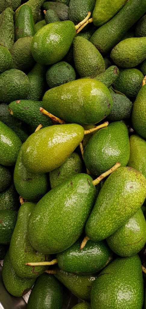 avocado-6938836_1280
